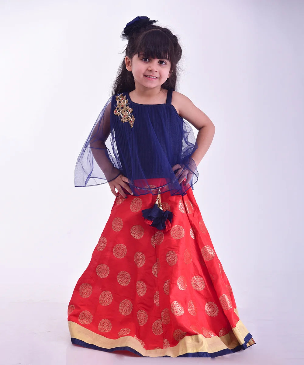 This red and blue dress consist of a choli with a back hook closure and a Lehenga. It features pleated choli, embroidery work on shoulder as well as on waist and comes with the tassels on the skirt.