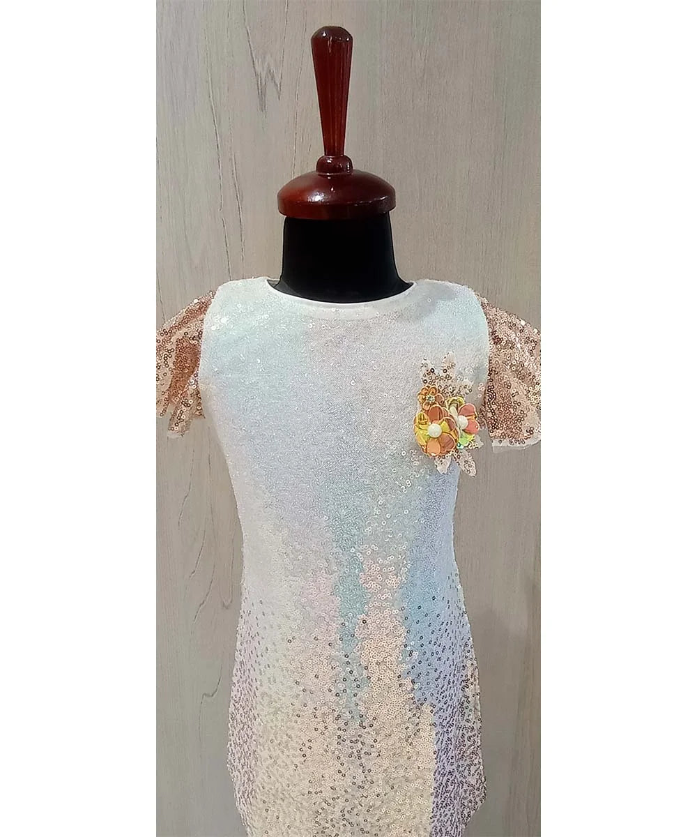 Shaded Sequin Dress for Party
