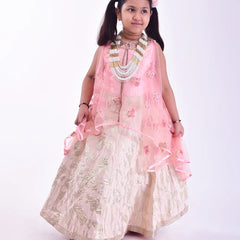 It is a pink and cream Colored gown that comes with the jacquard skirt. It features floral embroidery detailing on the entire dress and comes with the back zip closure.