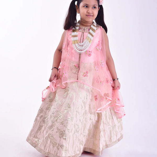 It is a pink and cream Colored gown that comes with the jacquard skirt. It features floral embroidery detailing on the entire dress and comes with the back zip closure.