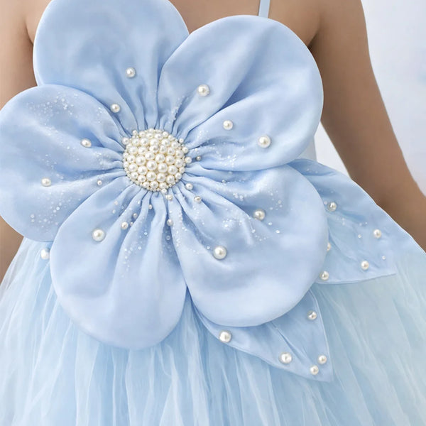 Light blue dress with a large floral back design featuring pearls.