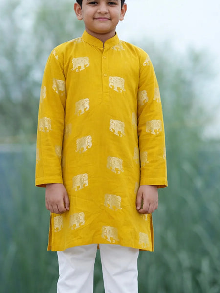 Child wearing a yellow kurta with elephant patterns against a blurred green background