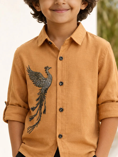 Boys Premium Casual & Party Wear Shirt