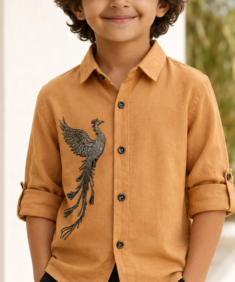 Boys Premium Casual & Party Wear Shirt
