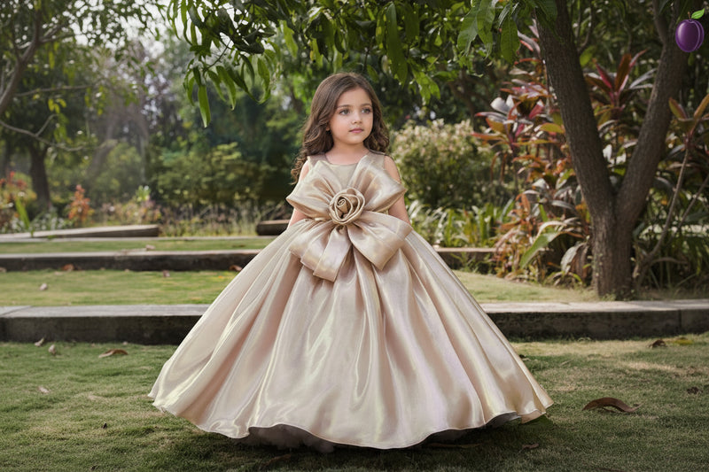 Elegant 3D Flower Kids Gown | Girls Wedding & Party Dress
