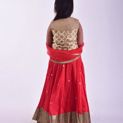 Affordable red lehenga choli in Jaipur with price, embroidered choli and festive net dupatta