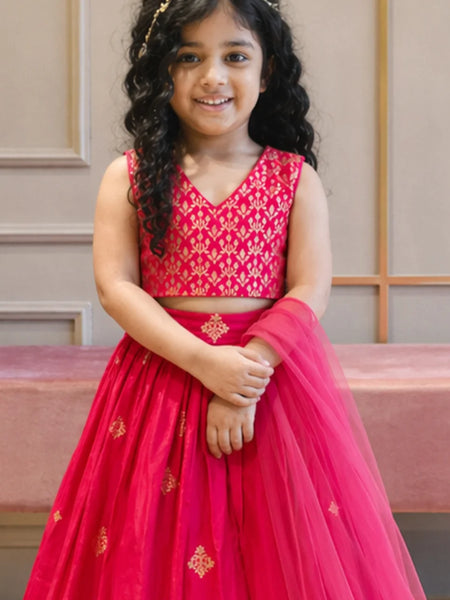 Devils N Angels Girls Rani Pink Embroidered Lehenga Choli Set Wedding Wear 3-9 Months Jaipur