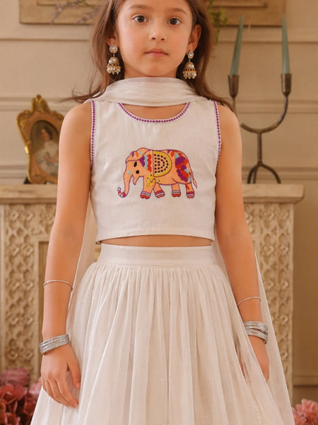 Devils N Angels Girls White Elephant Embroidered Lehenga Choli Set Wedding & Festive Wear 3 Months - 7 Years Jaipur