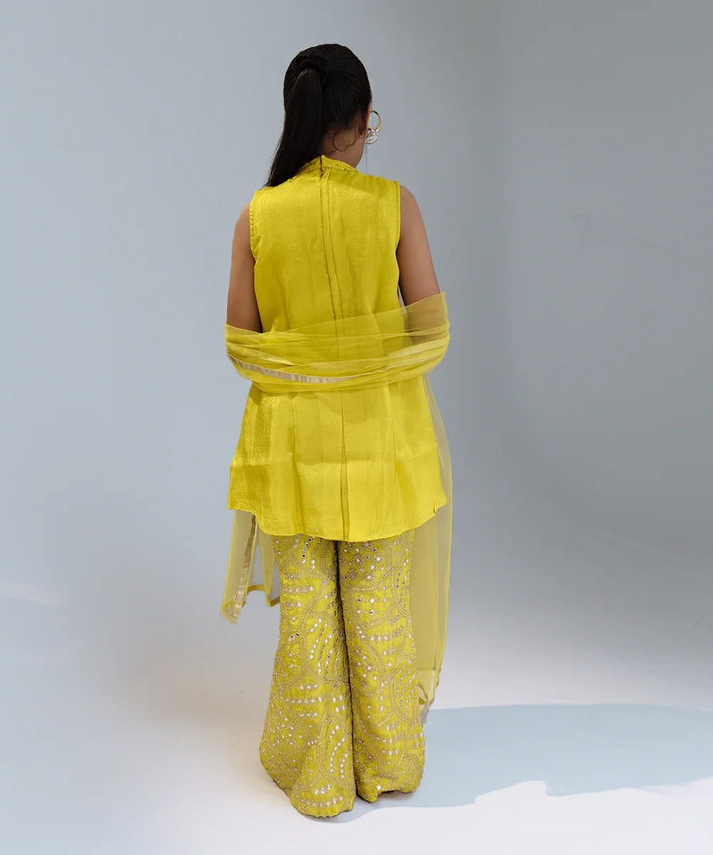 Girl wearing a yellow sharara  with a sheer dupatta on a plain background