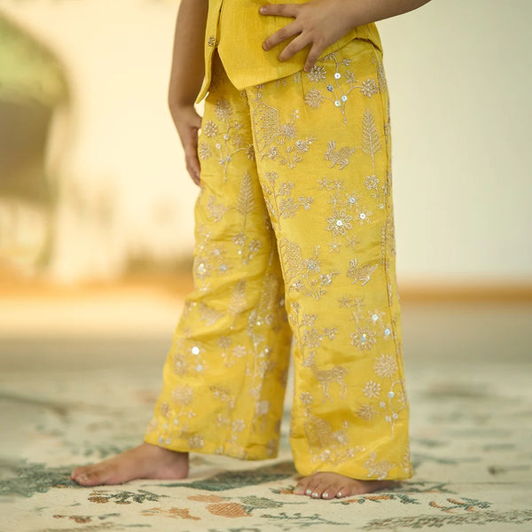beautiful shimmery pants with yellow  co-ord set for girls