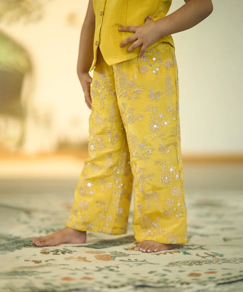 beautiful shimmery pants with yellow  co-ord set for girls