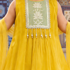 A child wearing a bright yellow traditional dress with a light green embroidered yoke panel, white floral embroidery, and tassel details, shown against a blurred ornate background.