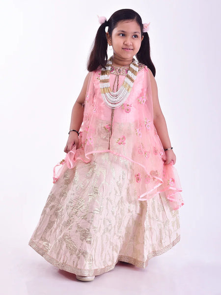 It is a pink and cream Colored gown that comes with the jacquard skirt. It features floral embroidery detailing on the entire dress and comes with the back zip closure.