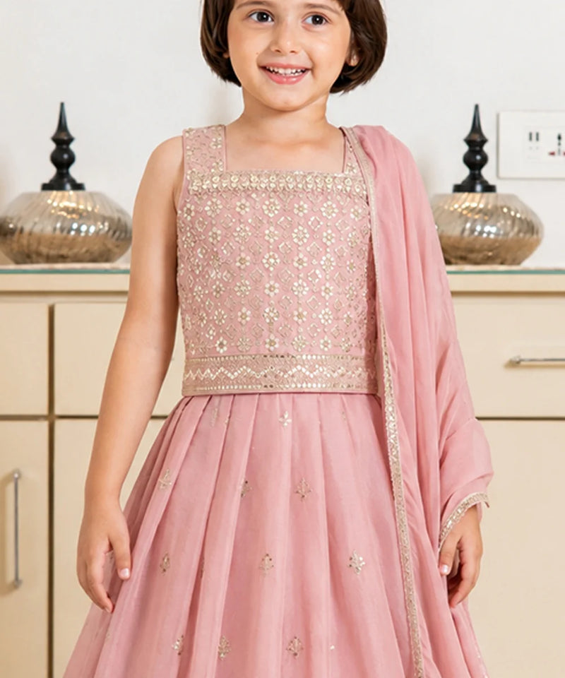 Devils N Angels Royal Pink Ethnic Lehenga Jaipur