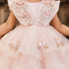 A young girl wearing a light pink ballgown with intricate floral embroidery and rhinestone embellishments on the bodice and skirt.
