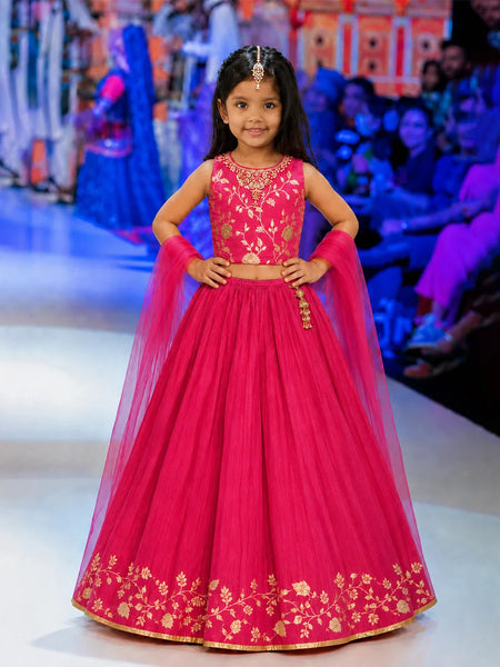 Devils N Angels Girls Rani Pink Embroidered Lehenga Choli Set Wedding & Festive Wear 1-7 Years Jaipur