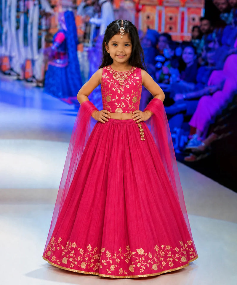 Devils N Angels Girls Rani Pink Embroidered Lehenga Choli Set Wedding & Festive Wear 1-7 Years Jaipur