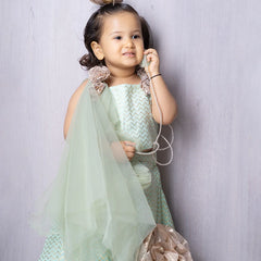 pista green crop top with lehenga & designer dupatta for girls 