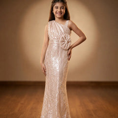 Devils N Angels Elegant Pink Sequin Gown Jaipur