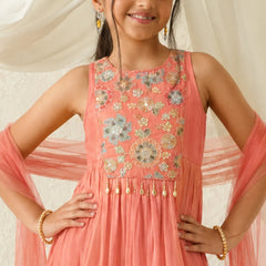Young girl wearing a pink embroidered dress with sheer sleeves against a white background