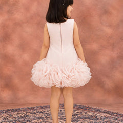 Back view of baby girls' light pink ruffle frock