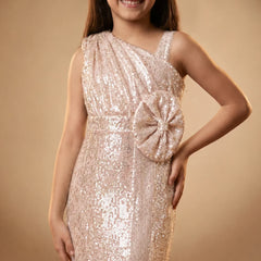 Devils N Angels Elegant Pink Sequin Gown Jaipur