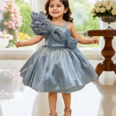 Devils N Angels Grey Floral Birthday Frock for Girls 9-12 Months | Jaipur