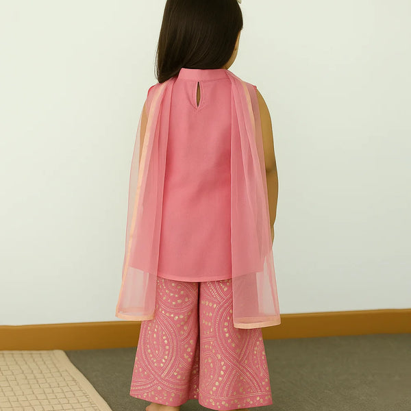 Person wearing a pink outfit with a sheer overlay against a plain background