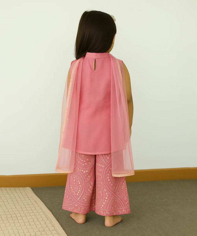 Person wearing a pink outfit with a sheer overlay against a plain background