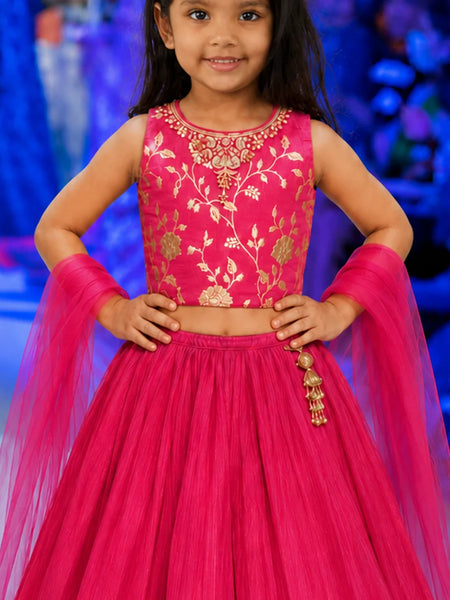 Devils N Angels Girls Rani Pink Embroidered Lehenga Choli Set Wedding & Festive Wear 1-7 Years Jaipur