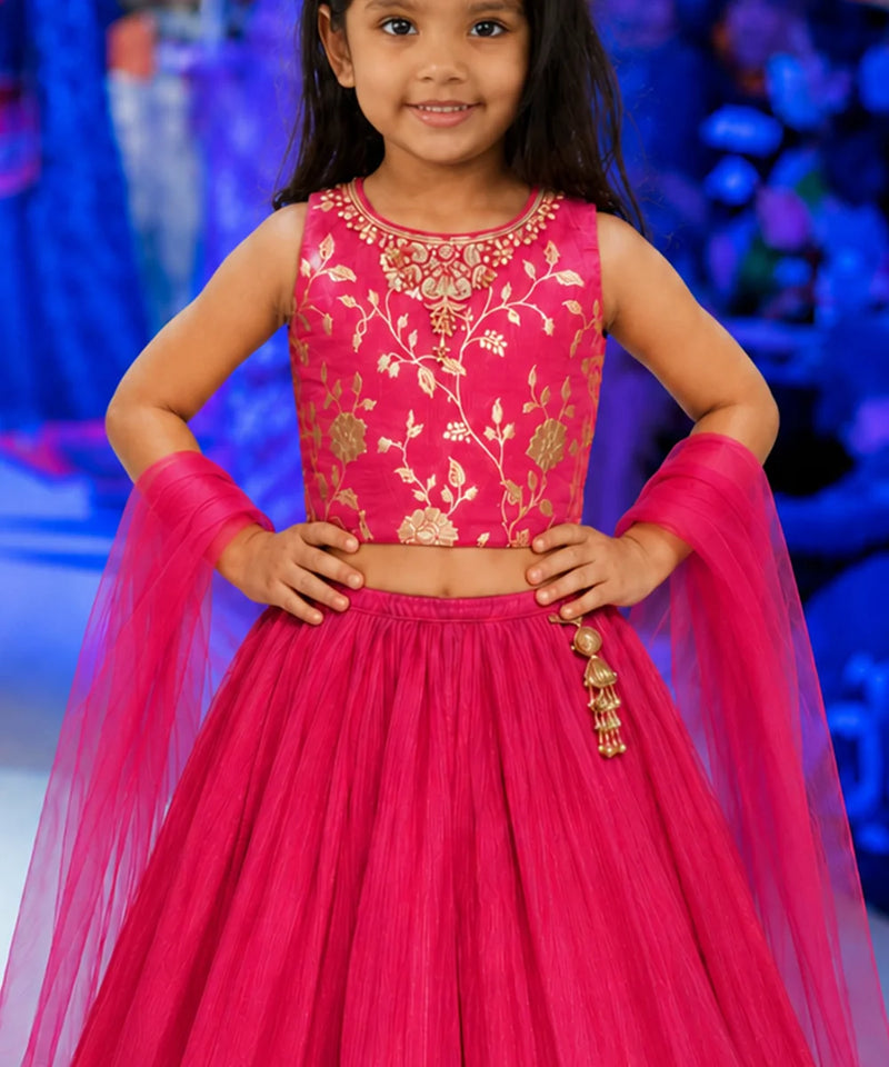 Devils N Angels Girls Rani Pink Embroidered Lehenga Choli Set Wedding & Festive Wear 1-7 Years Jaipur