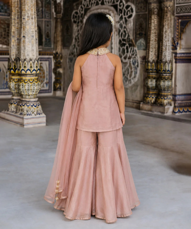 A young girl viewed from behind wearing a dusty pink traditional Indian outfit with a matching dupatta, standing in front of an ornate architectural background with carved pillars.
