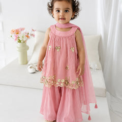 A toddler girl wearing a pink traditional outfit with gold floral embroidery and a matching pink dupatta, standing in a bright indoor setting.