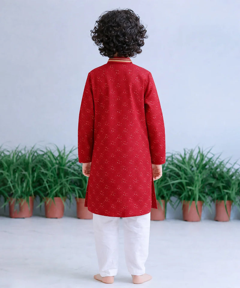 Child wearing a red kurta with white pants standing in front of green plants on a light gray background