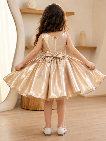 Devils N Angels Golden Glow Princess Dress Jaipur