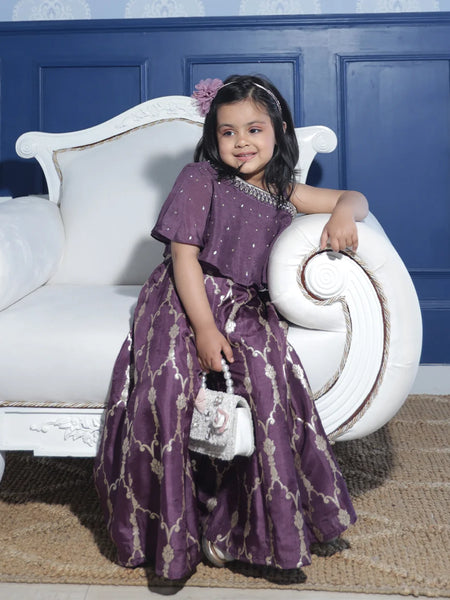 This purple colored  baby girl sharara suit consists of a stylish crop-top with a matching sharara. It features beautiful work done on the neck and printed detailing on sharara enhances the entire look.