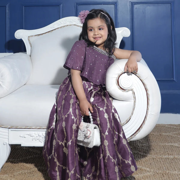 This purple colored  baby girl sharara suit consists of a stylish crop-top with a matching sharara. It features beautiful work done on the neck and printed detailing on sharara enhances the entire look.
