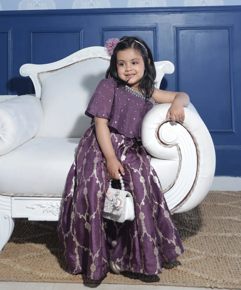 This purple colored  baby girl sharara suit consists of a stylish crop-top with a matching sharara. It features beautiful work done on the neck and printed detailing on sharara enhances the entire look.