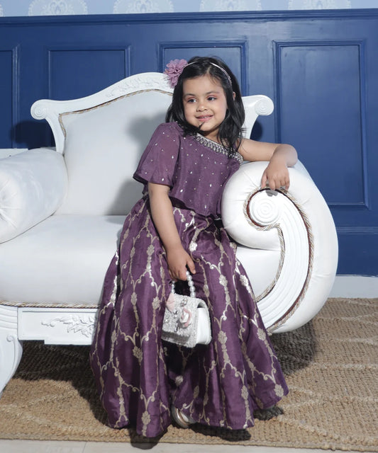 This purple colored  baby girl sharara suit consists of a stylish crop-top with a matching sharara. It features beautiful work done on the neck and printed detailing on sharara enhances the entire look.